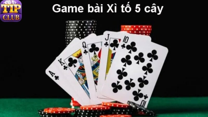 Vài nét về xì tố 5 cây hiện nay tại TIPCLUB